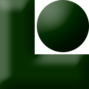 LSTV